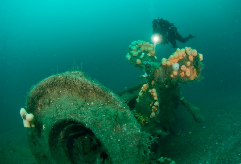 Wreck of the UC44